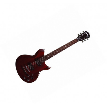 Washburn WI200PRO ECK