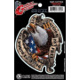 PLANET WAVES GT77016 GUITAR TATOO, FREEDOM EAGLE Наклейки для гитар фото