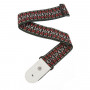 PLANET WAVES PW50G01 Woven Guitar Strap, Hootenanny 2 Ремень гитарный фото