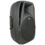 PEAVEY PBK15PB Акустическая система фото