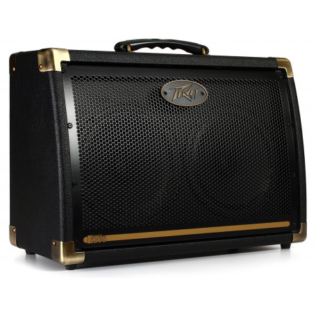 Комбоусилитель PEAVEY Ecoustic E208 Acoustic Amp Combo фото