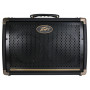 Комбоусилитель PEAVEY Ecoustic E208 Acoustic Amp Combo фото