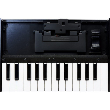 Клавиатура ROLAND K-25m