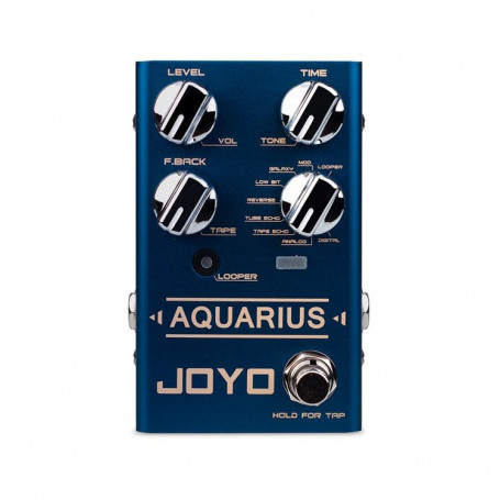 Педаль гітарна JOYO R-07 Aquarius Delay+Looper фото