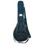 ROCKBAG RB20517 чехол для банджо фото