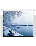 Екран Electric screen with remote control 350x219cm Matt White