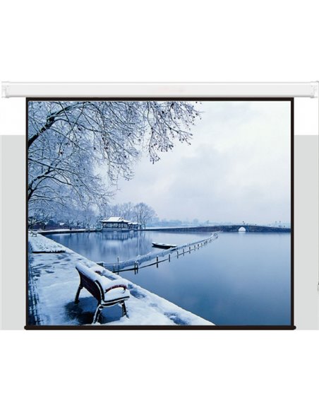 Екран Electric screen with remote control 350x219cm Matt White