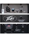 PEAVEY PV115D Акустична система