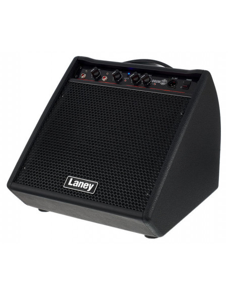 Laney DH80