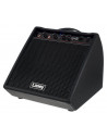 Laney DH80