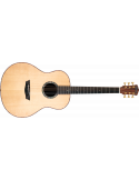 Washburn ELEGANTE S24S