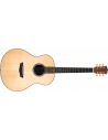 Washburn ELEGANTE S24S