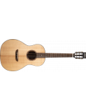 Washburn WP33SRS