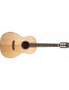 Washburn WP33SRS