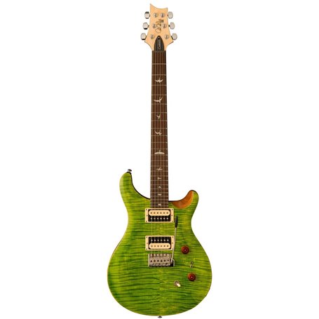 PRS SE Custom 24-8 (Eriza Verde) Електрогітара (SEC844EV)