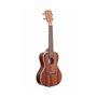 KALA MAHOGANY CONCERT GLOSS UKULELE Укулеле