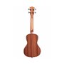 KALA MAHOGANY CONCERT GLOSS UKULELE Укулеле