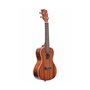 KALA MAHOGANY CONCERT UKULELE WITH BINDING Укулеле