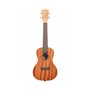 KALA MAHOGANY CONCERT UKULELE NO BINDING Укулеле