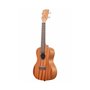 KALA MAHOGANY CONCERT UKULELE NO BINDING Укулеле