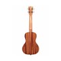 KALA MAHOGANY CONCERT UKULELE NO BINDING Укулеле