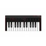 IK MULTIMEDIA iRig Keys 2 Mini MIDI клавіатура