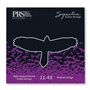 PRS Signature Medium Guitar Strings 11-49 струни для електрогітари (100148:005:001:004)