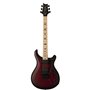 PRS DW CE 24 FLOYD (Waring Burst) електрогітара (DWM4FNMEMBF_BSB_ZA_V0)