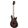 PRS DW CE 24 FLOYD (Waring Burst) електрогітара (DWM4FNMEMBF_BSB_ZA_V0)