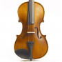 STENTOR 1542/A GRADUATE VIOLIN OUTFIT 4/4 Скрипка фото