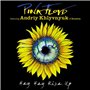 LP Pink Floyd: Hey Hey Rise Up ( Feat. Andriy Khlyvnyuk)